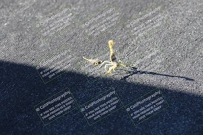 media/Oct-03-2025-CVMA Friday Practice (Fri) [[0c1e57b650]]/1-Around the Pits/